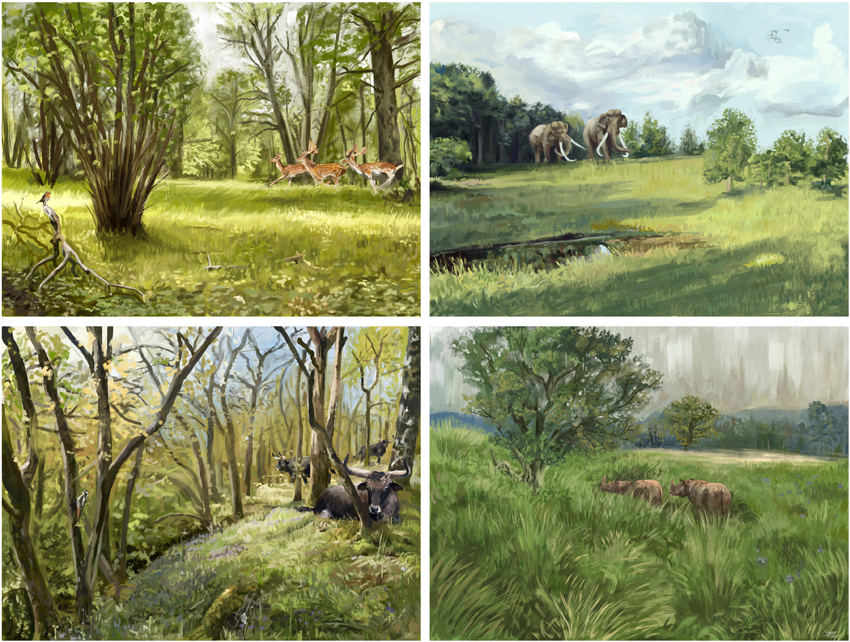 Illustrations of European landscape pre Homo sapiens