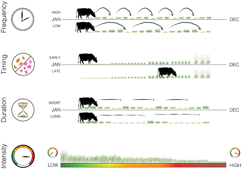 The illustration, also taken from the paper, shows "representations of the four metrics contributing to overall grazing pattern: frequency, timing, duration, and intensity. Frequency, timing, and duration are shown along a calendar year timeline with comparative examples of how they differ under 'high' and 'low' scenarios. We represent intensity as the amount of biomass utilised from grazing over a given time, which is influenced by the former three factors.