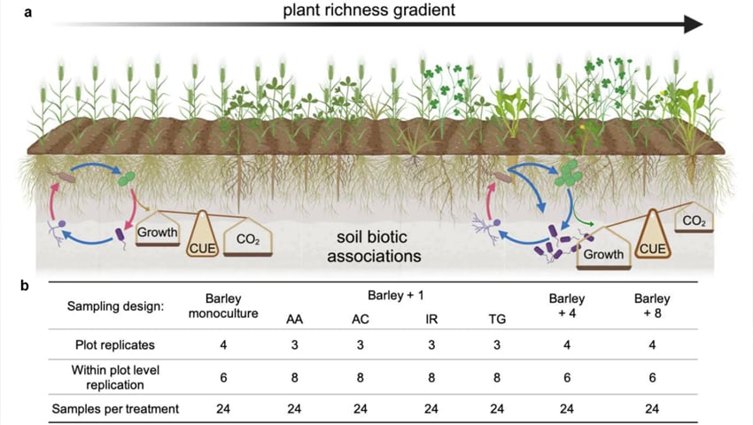 Plant richness gradient